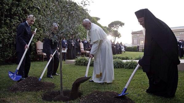 Resultado de imagen de papa francisco plantando arbol